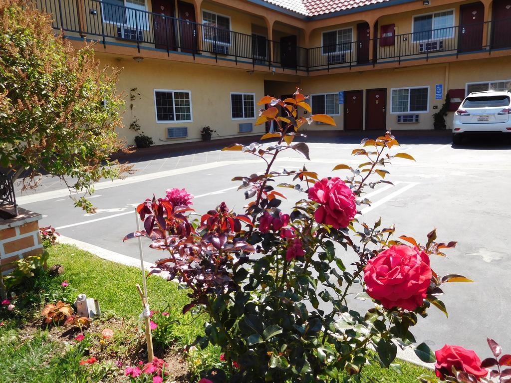 Diamond Inn Inglewood Dış mekan fotoğraf